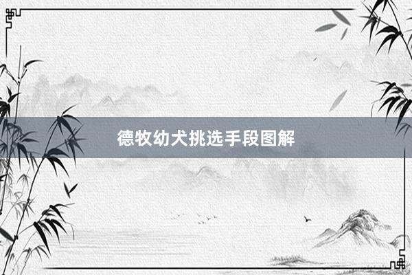 德牧幼犬挑选手段图解