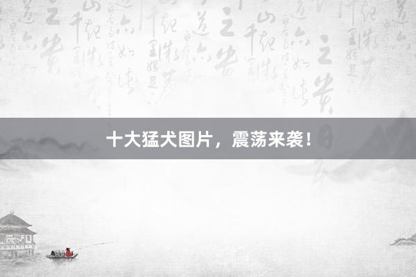 十大猛犬图片，震荡来袭！