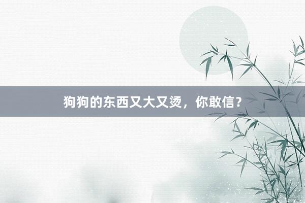 狗狗的东西又大又烫，你敢信？