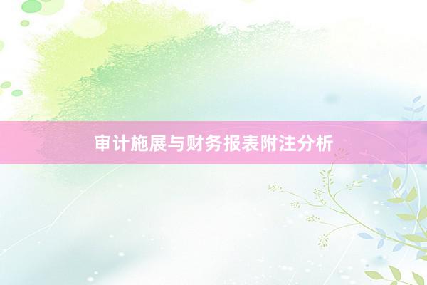 审计施展与财务报表附注分析
